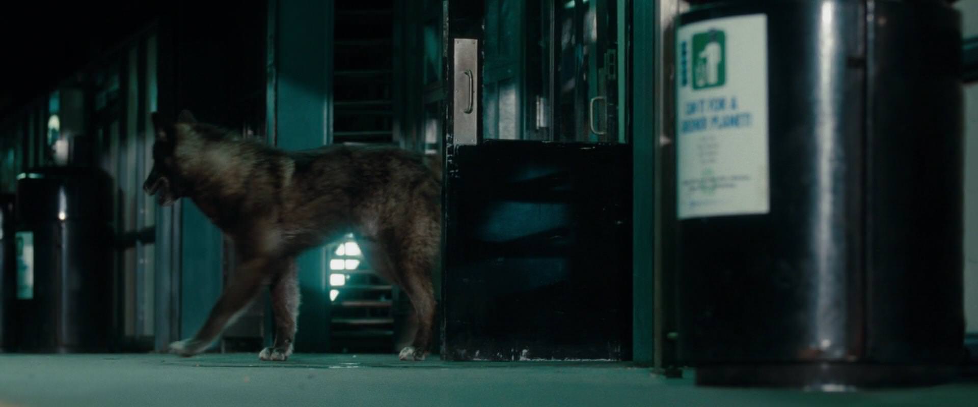 The Sorcerer’s Apprentice (2010) HD screenshot 2642