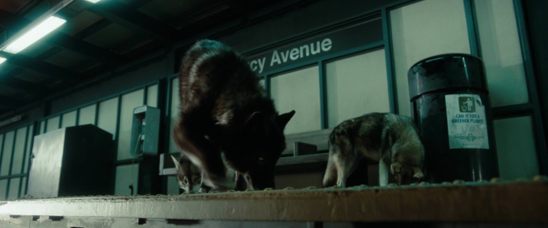 The Sorcerer’s Apprentice (2010) HD screenshot 2651