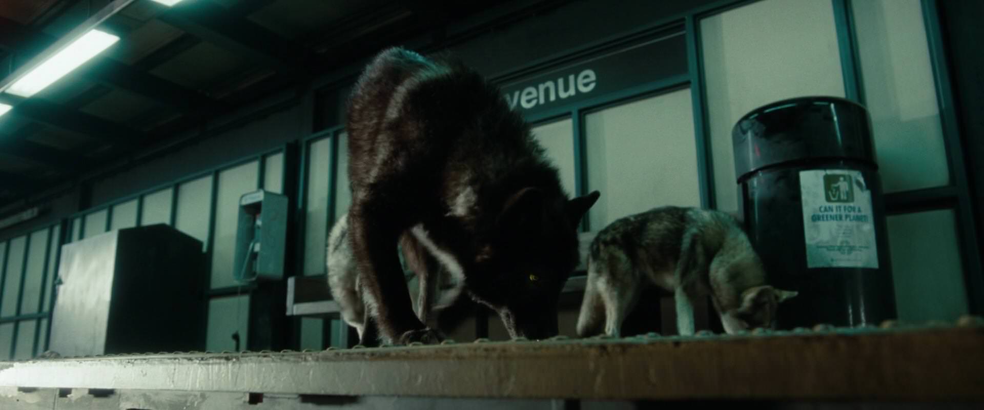 The Sorcerer’s Apprentice (2010) screencap 2652