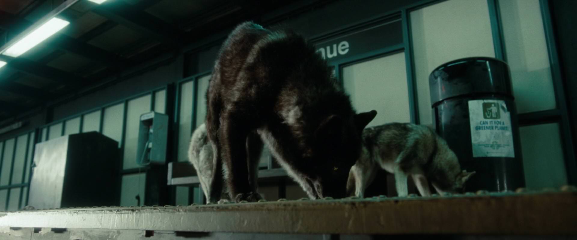 The Sorcerer’s Apprentice (2010) movie still 2653