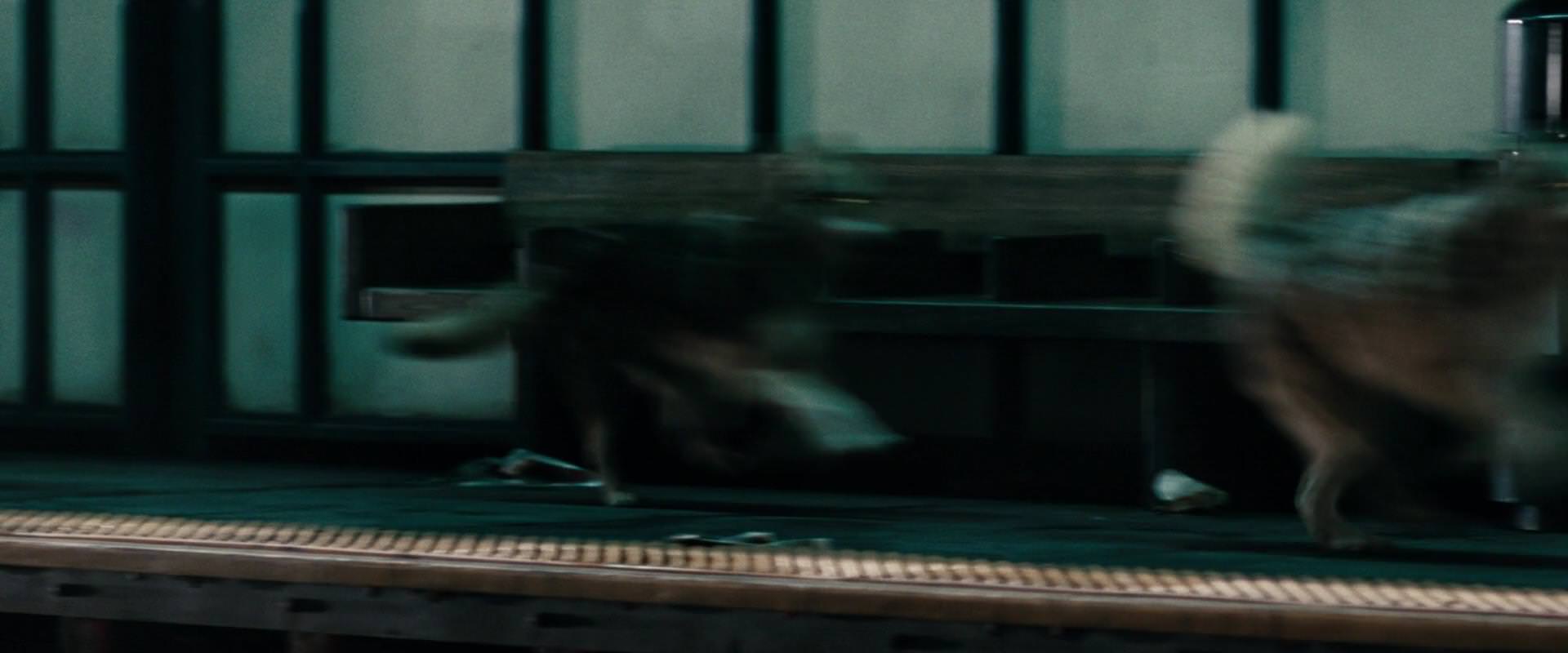 The Sorcerer’s Apprentice (2010) movie still 2674