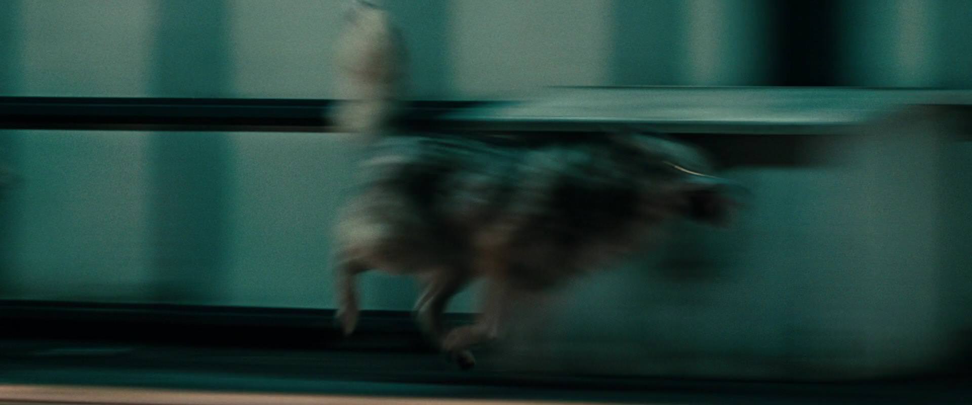 The Sorcerer’s Apprentice (2010) HD screenshot 2675