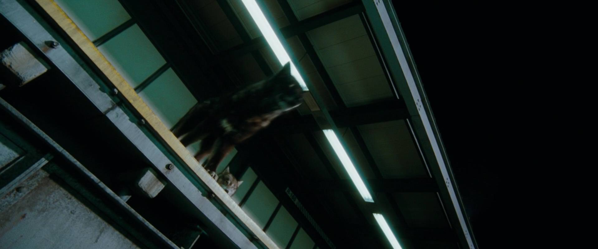 The Sorcerer’s Apprentice (2010) movie still 2686