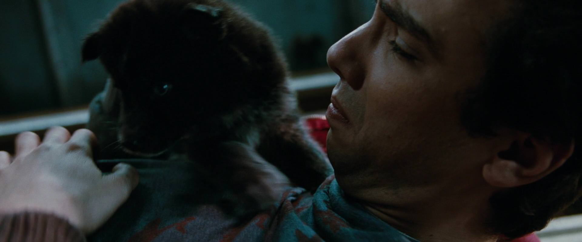 The Sorcerer’s Apprentice (2010) movie still 2695