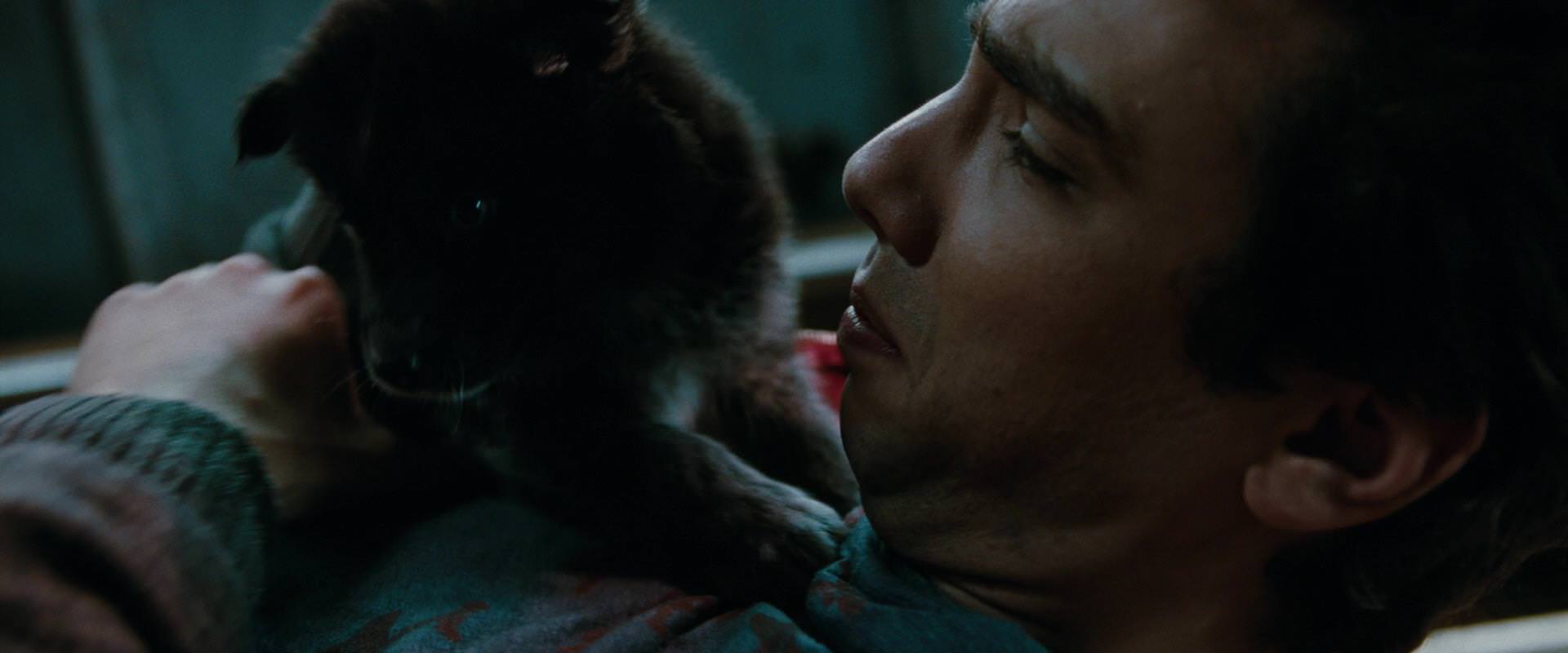 The Sorcerer’s Apprentice (2010) movie still 2698