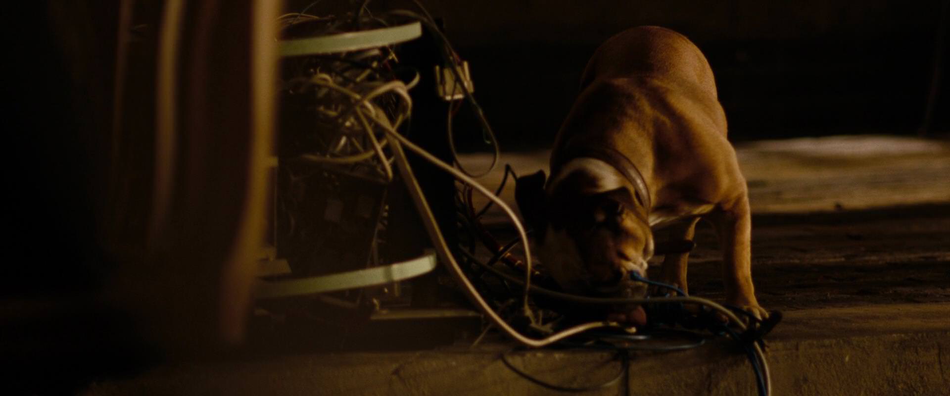 The Sorcerer’s Apprentice (2010) movie still 6763