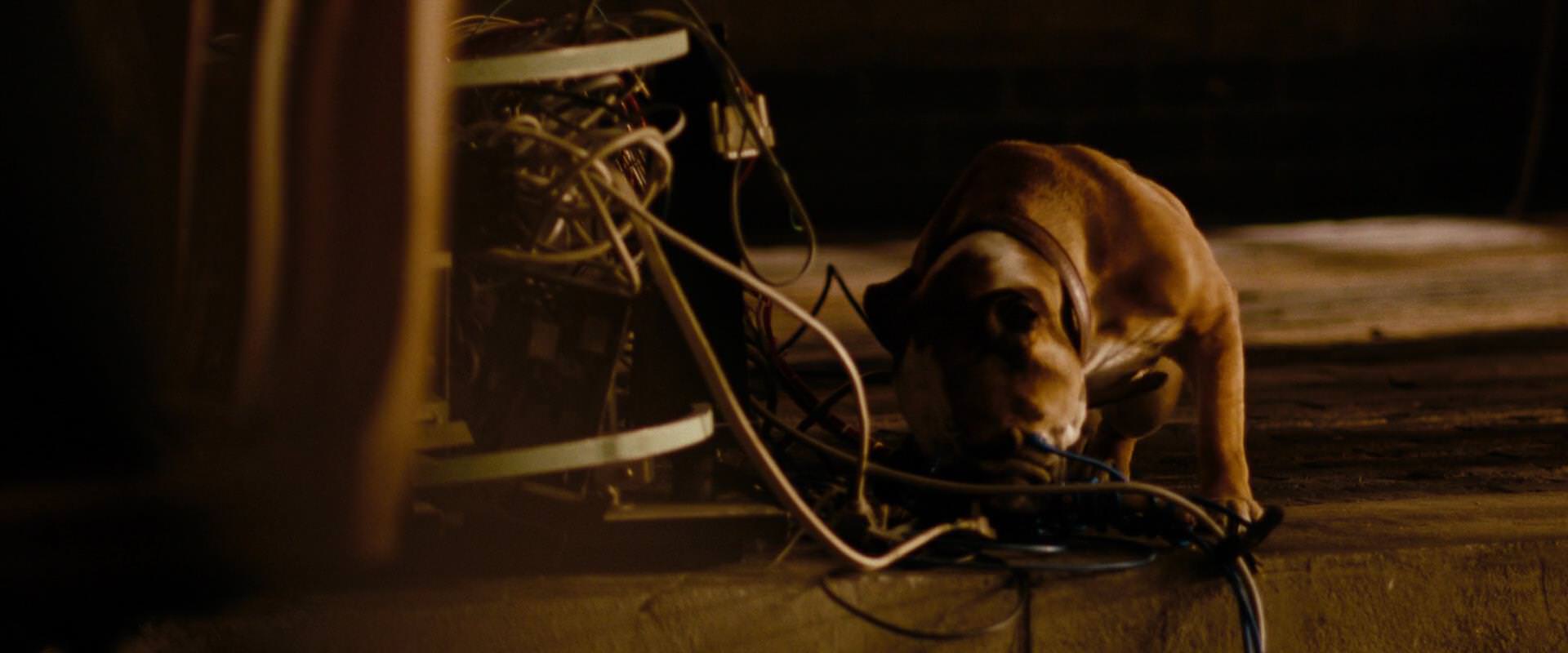 The Sorcerer’s Apprentice (2010) movie still 6817