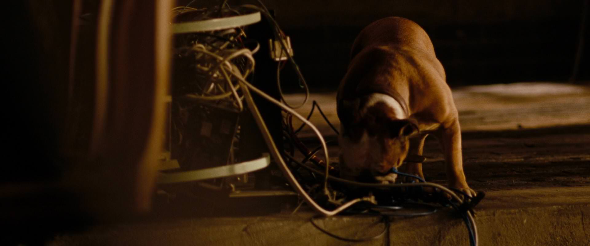 The Sorcerer’s Apprentice (2010) screencap 6819