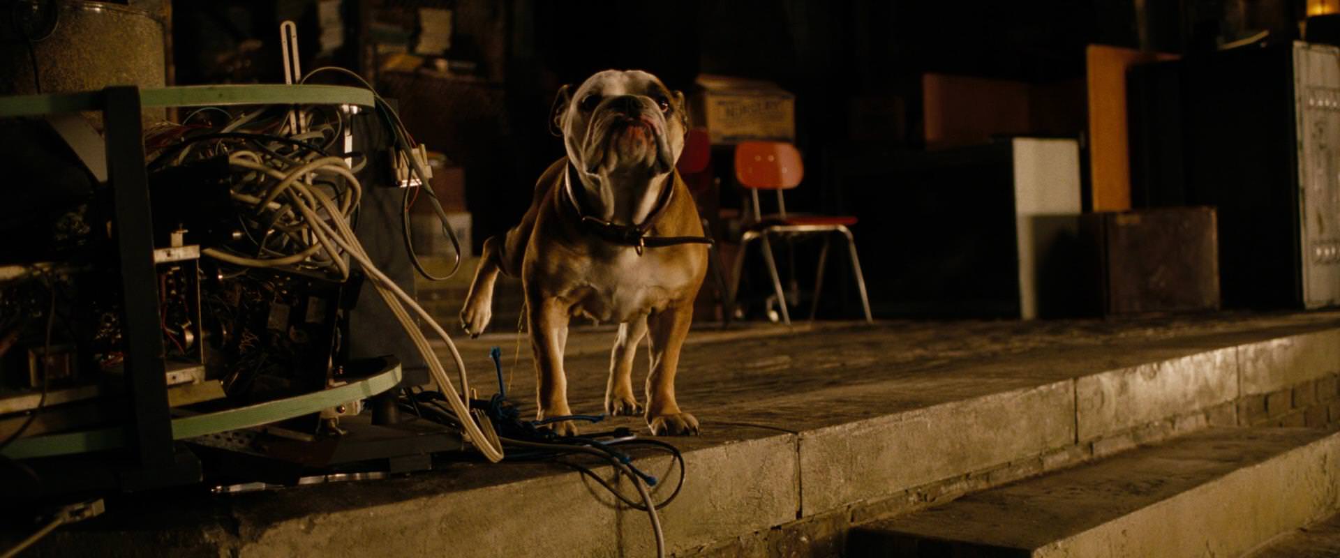The Sorcerer’s Apprentice (2010) HD screenshot 6914