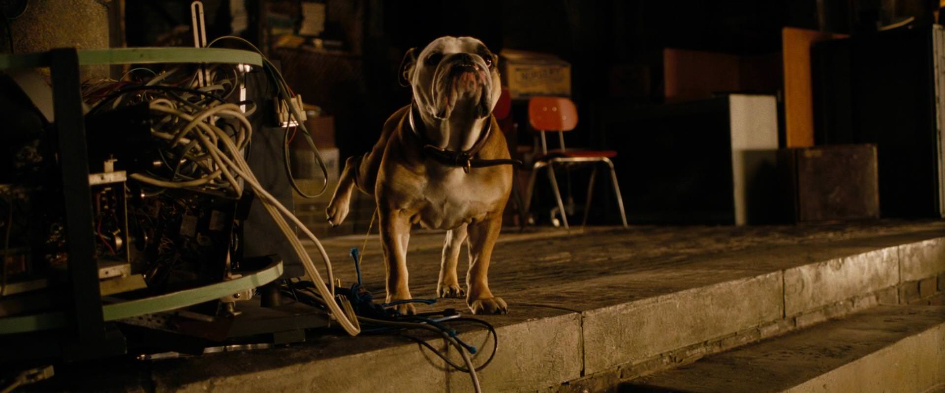 The Sorcerer’s Apprentice (2010) movie still 6916