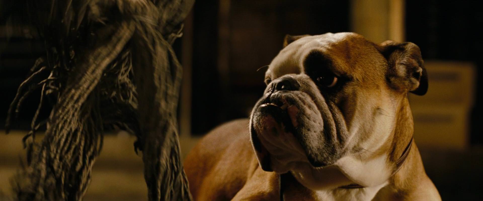 The Sorcerer’s Apprentice (2010) movie still 6985