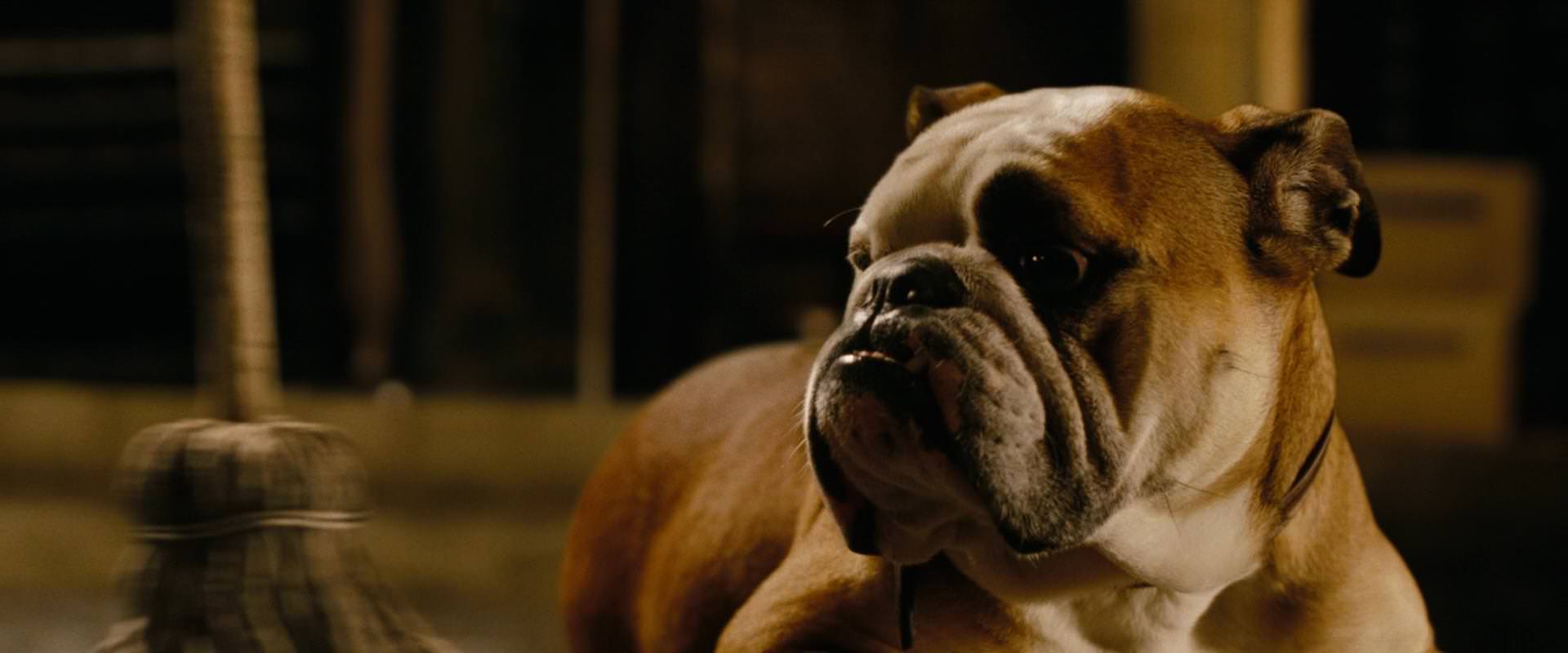 The Sorcerer’s Apprentice (2010) HD screenshot 6986