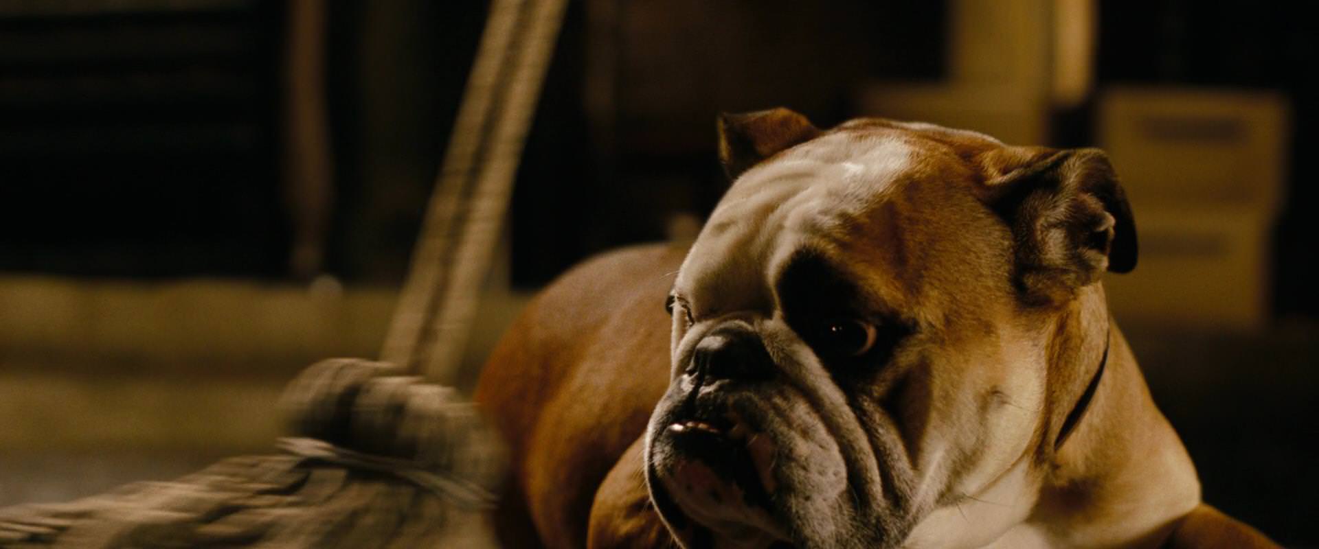The Sorcerer’s Apprentice (2010) screencap 6987