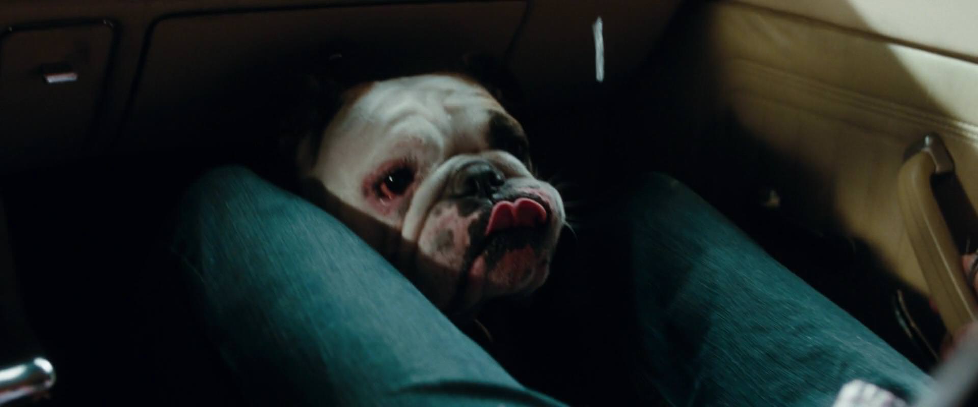 The Sorcerer’s Apprentice (2010) HD screenshot 8501
