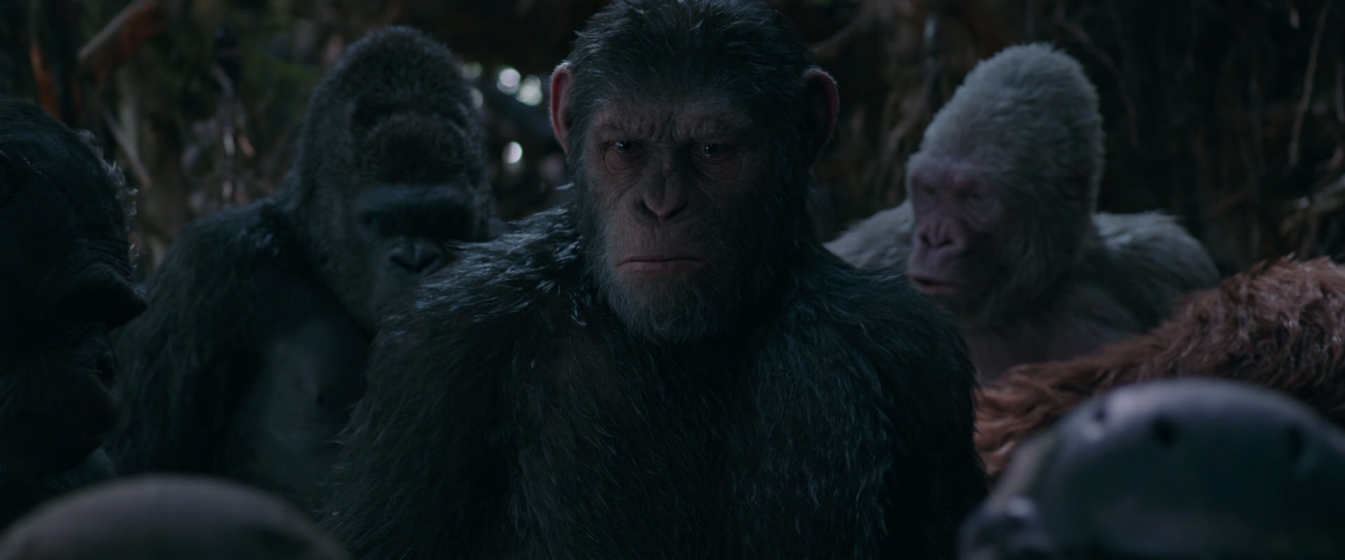 War for the Planet of the Apes (2017) movie still 1000