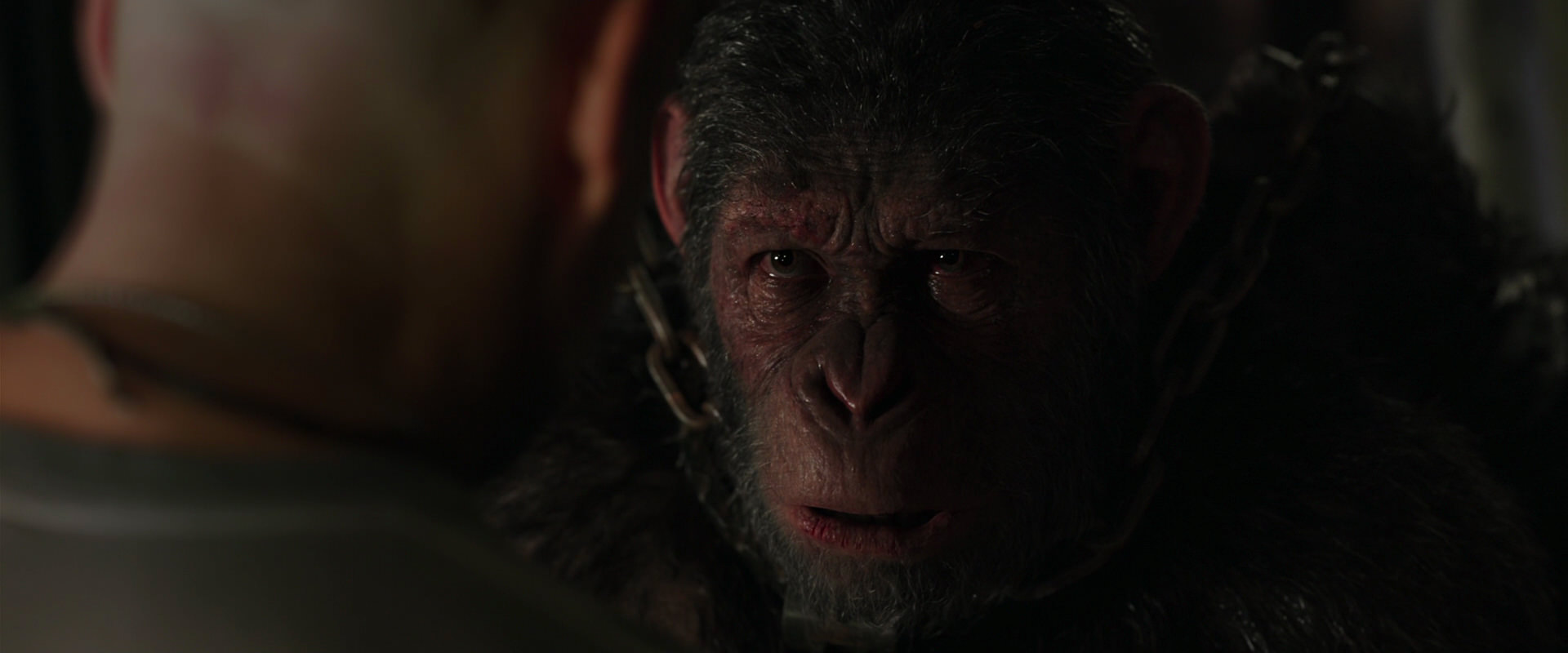 War for the Planet of the Apes (2017) movie still 10000
