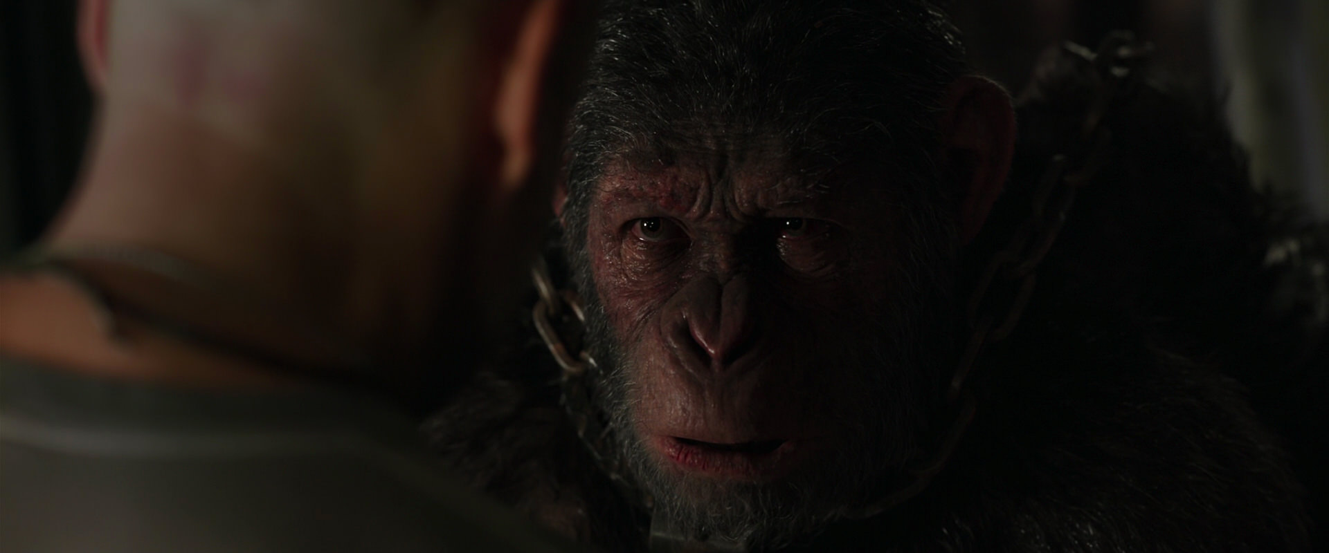 War for the Planet of the Apes (2017) HD screenshot 10001