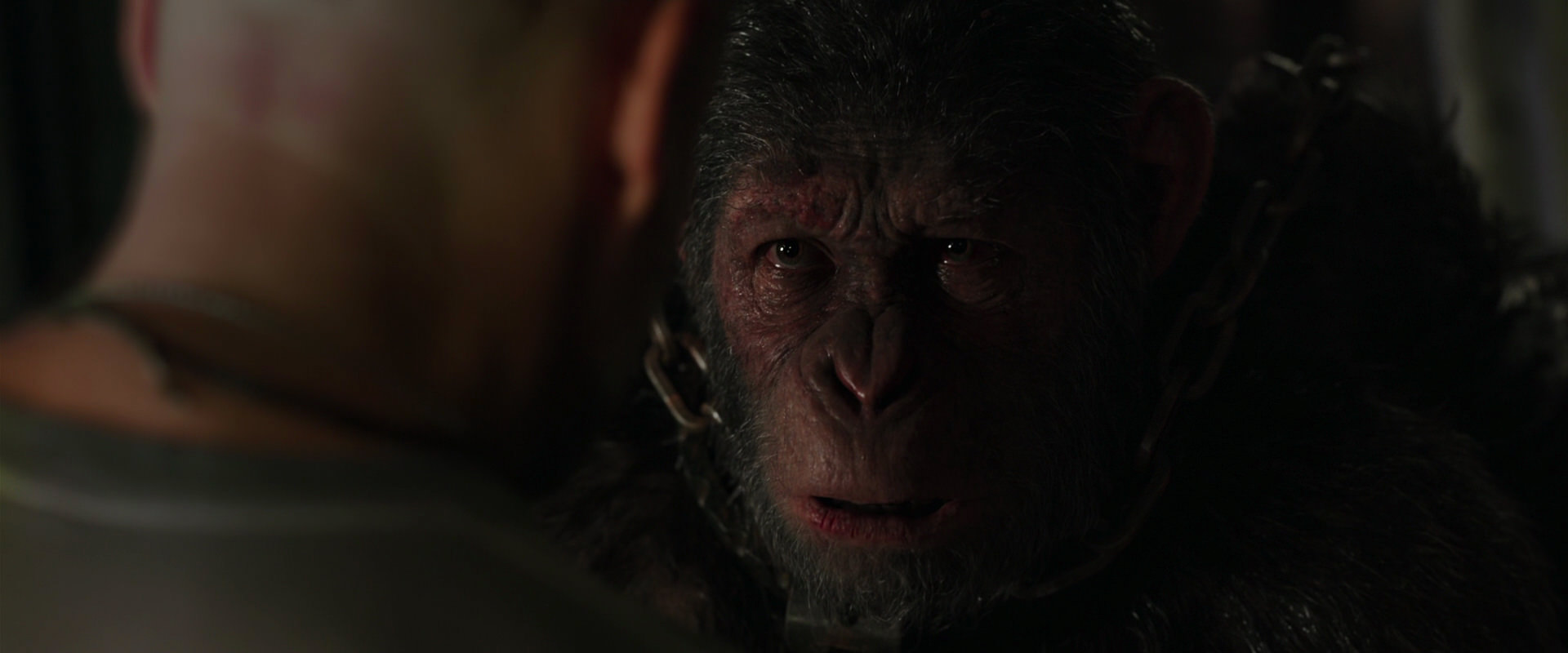 War for the Planet of the Apes (2017) screencap 10002