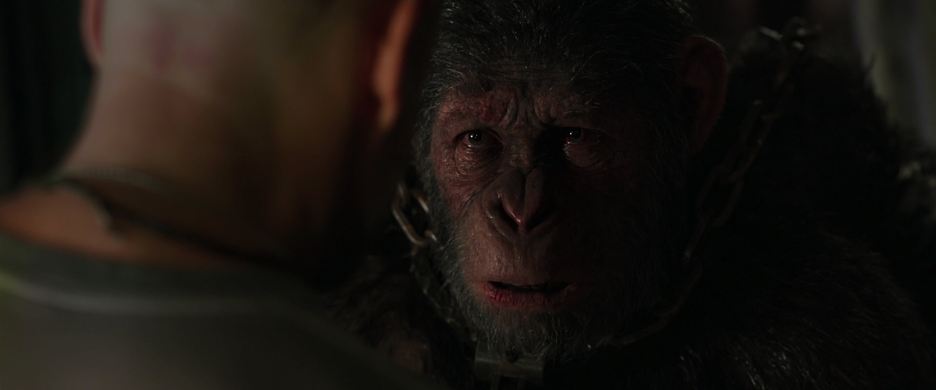 War for the Planet of the Apes (2017) movie still 10003