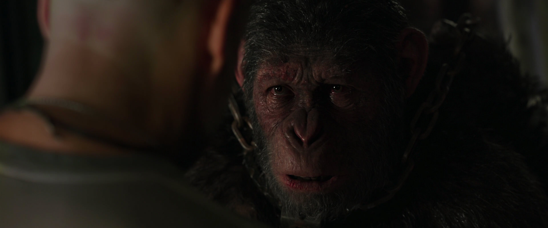 War for the Planet of the Apes (2017) screencap 10005