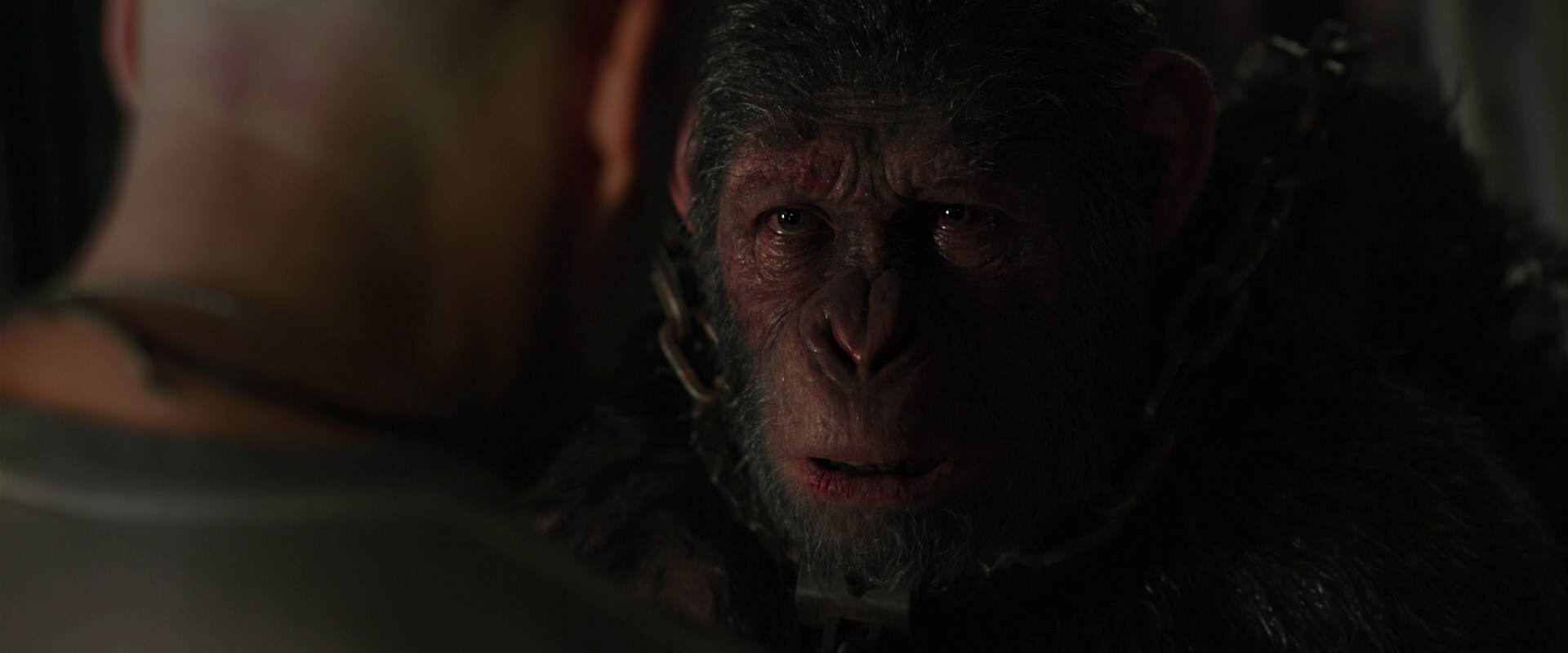War for the Planet of the Apes (2017) movie still 10006