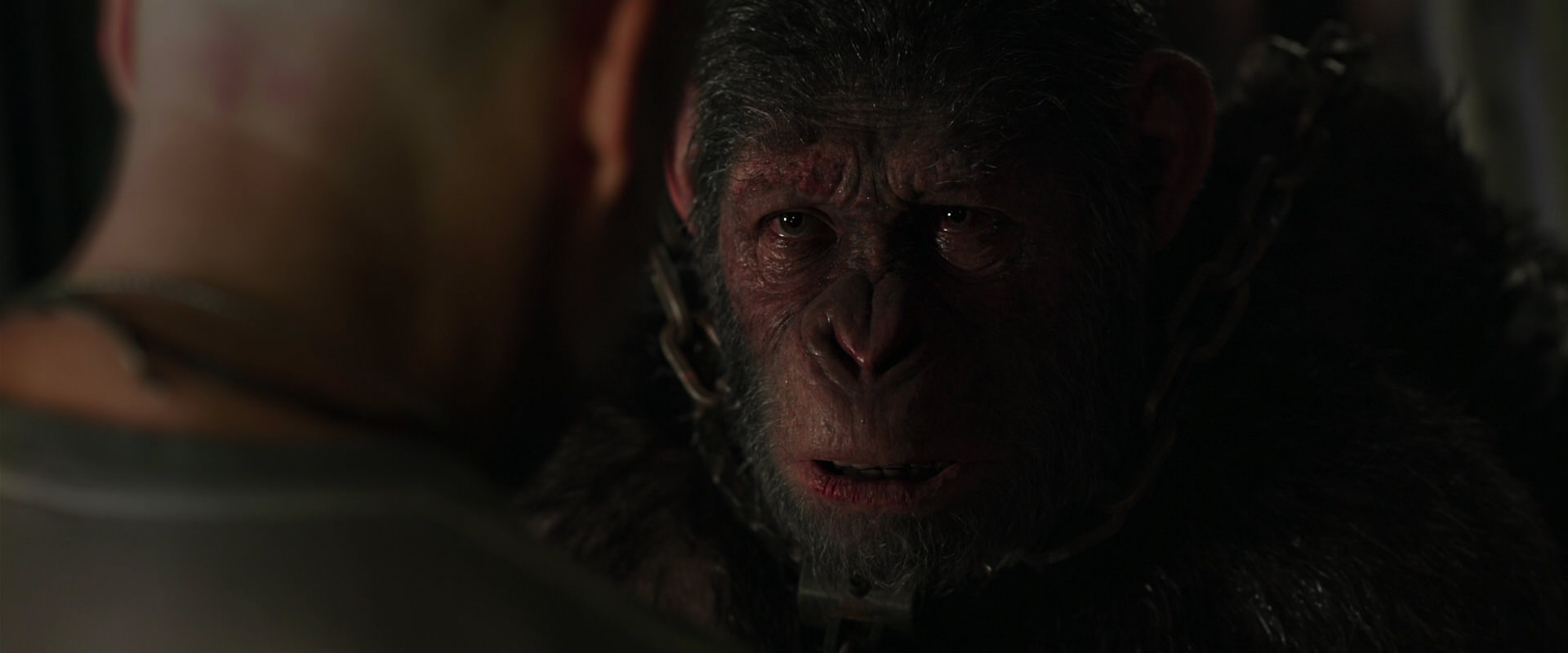 War for the Planet of the Apes (2017) HD screenshot 10007