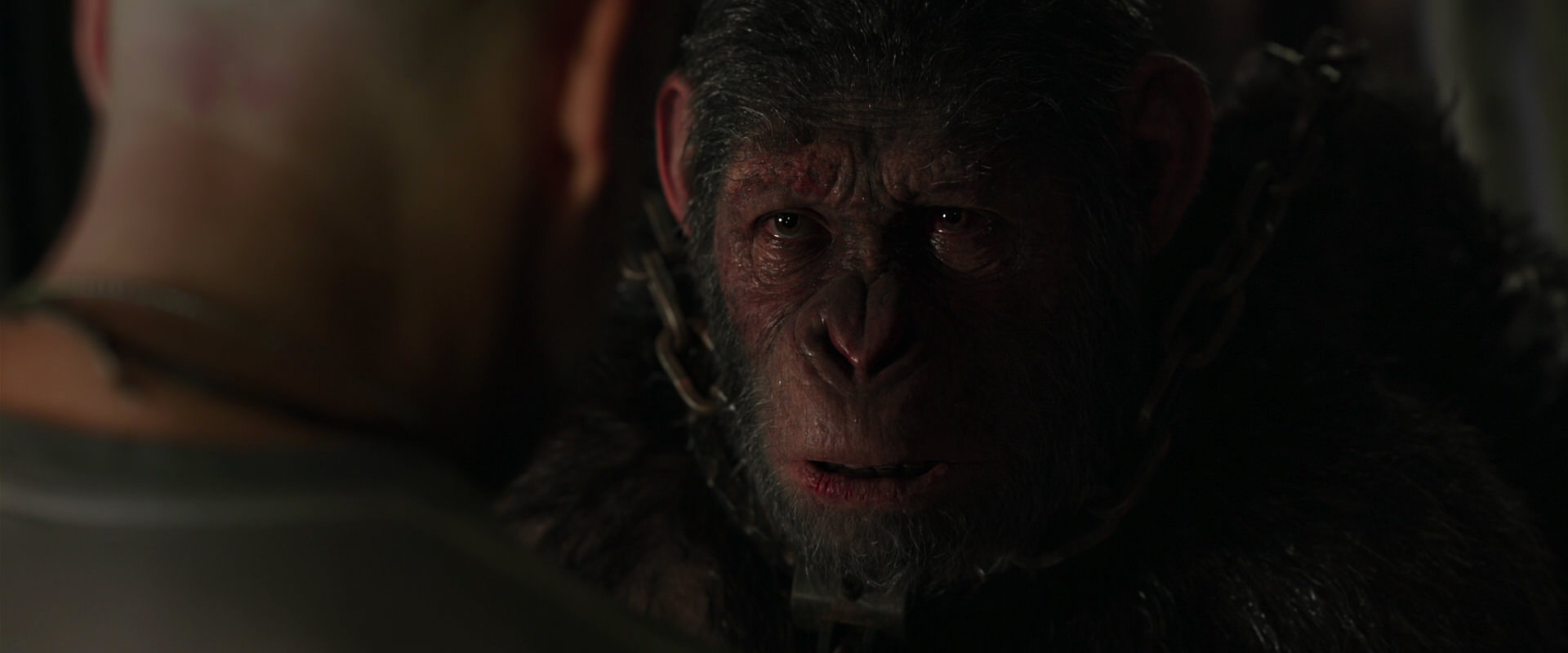 War for the Planet of the Apes (2017) screencap 10008