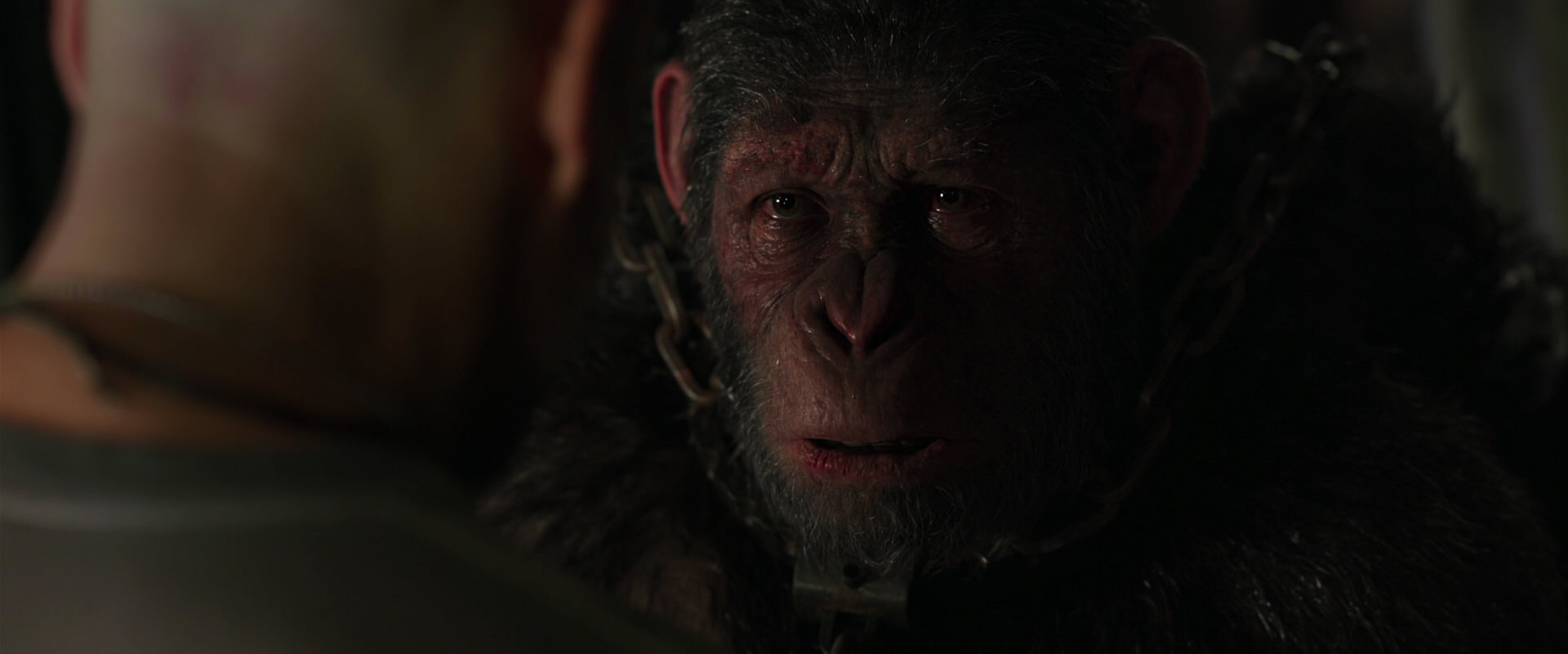 War for the Planet of the Apes (2017) movie still 10009