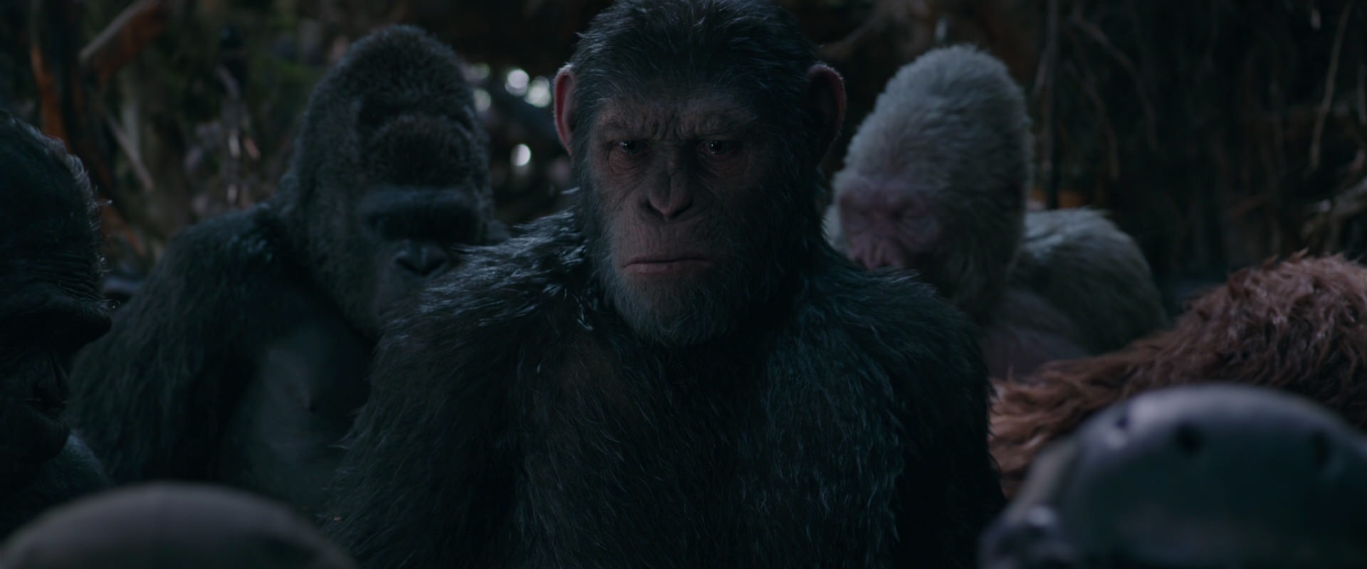 War for the Planet of the Apes (2017) HD screenshot 1001