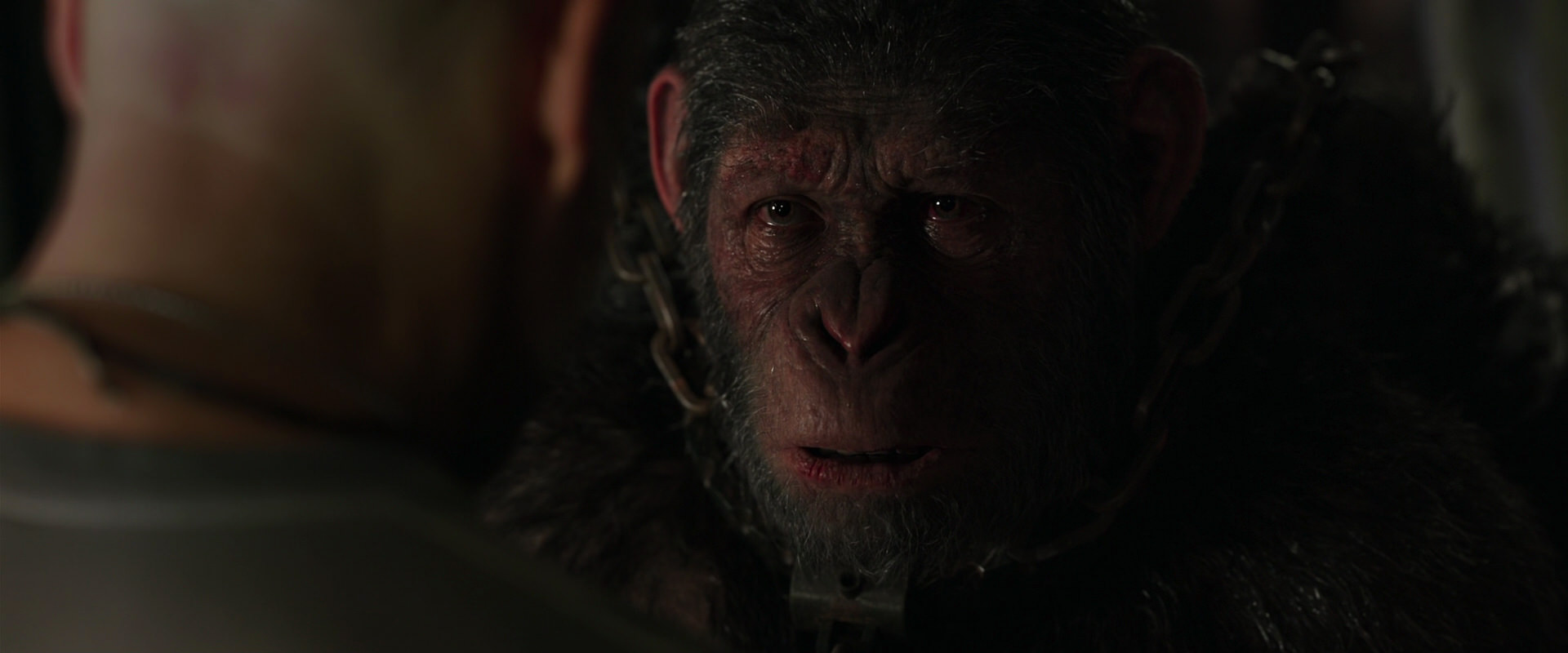 War for the Planet of the Apes (2017) HD screenshot 10010