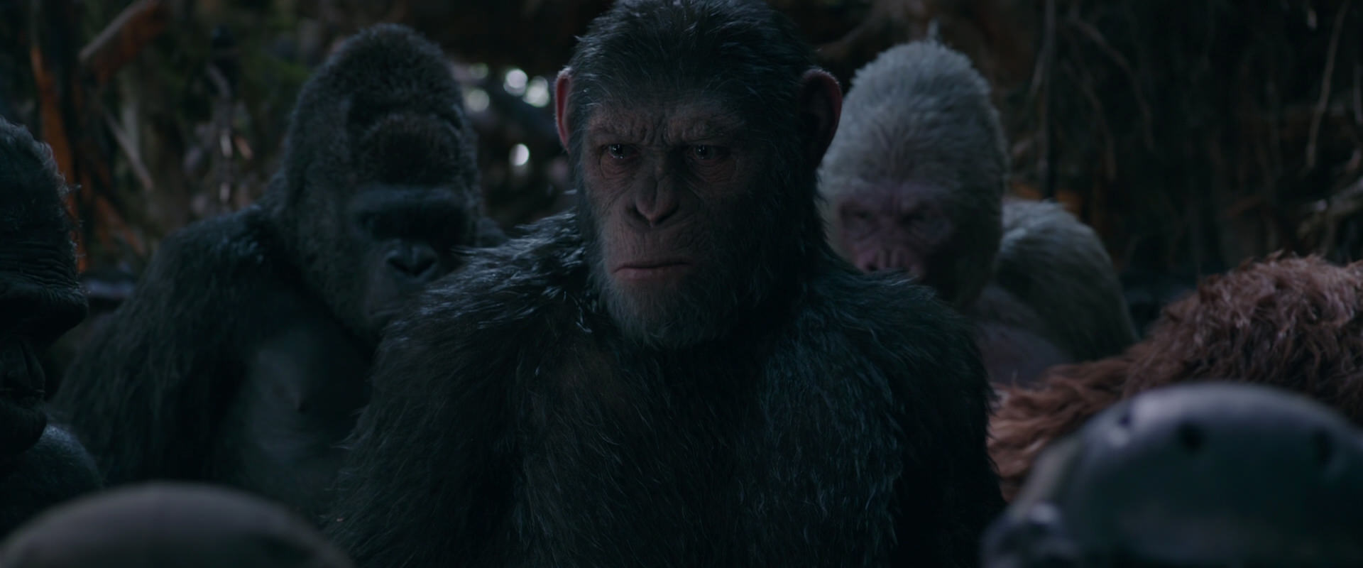 War for the Planet of the Apes (2017) screencap 1002