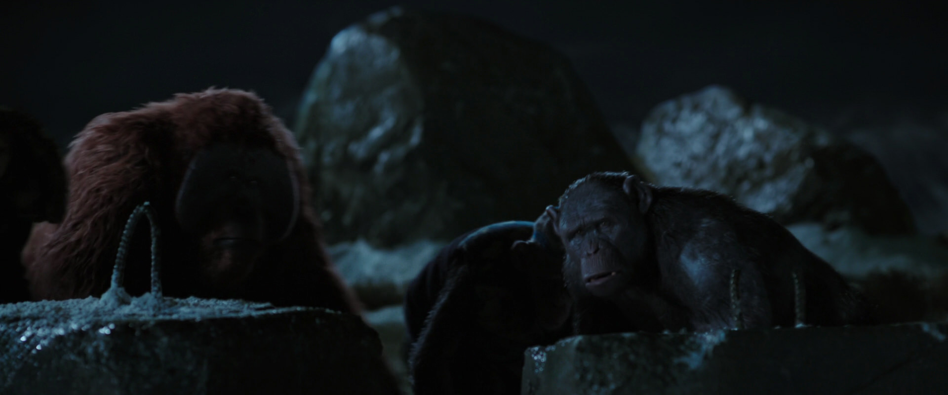 War for the Planet of the Apes (2017) movie still 10027