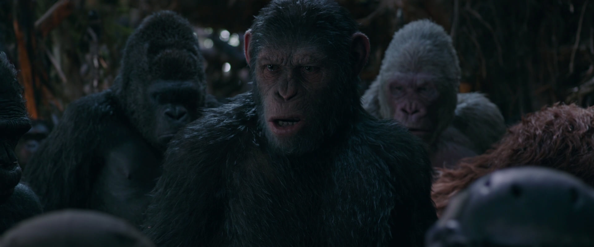 War for the Planet of the Apes (2017) movie still 1003