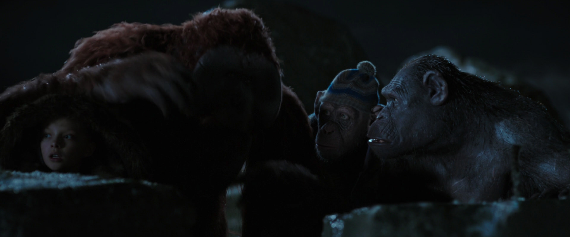 War for the Planet of the Apes (2017) movie still 10033