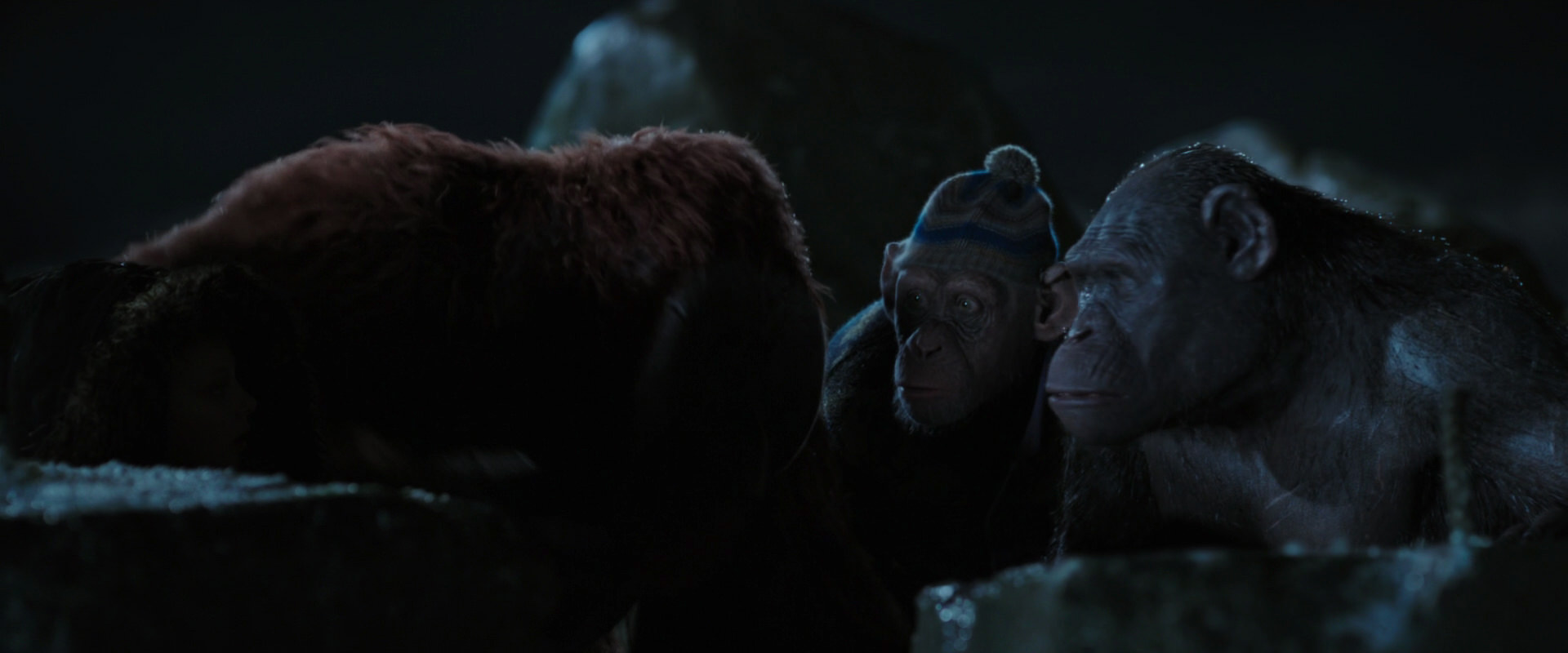 War for the Planet of the Apes (2017) screencap 10035