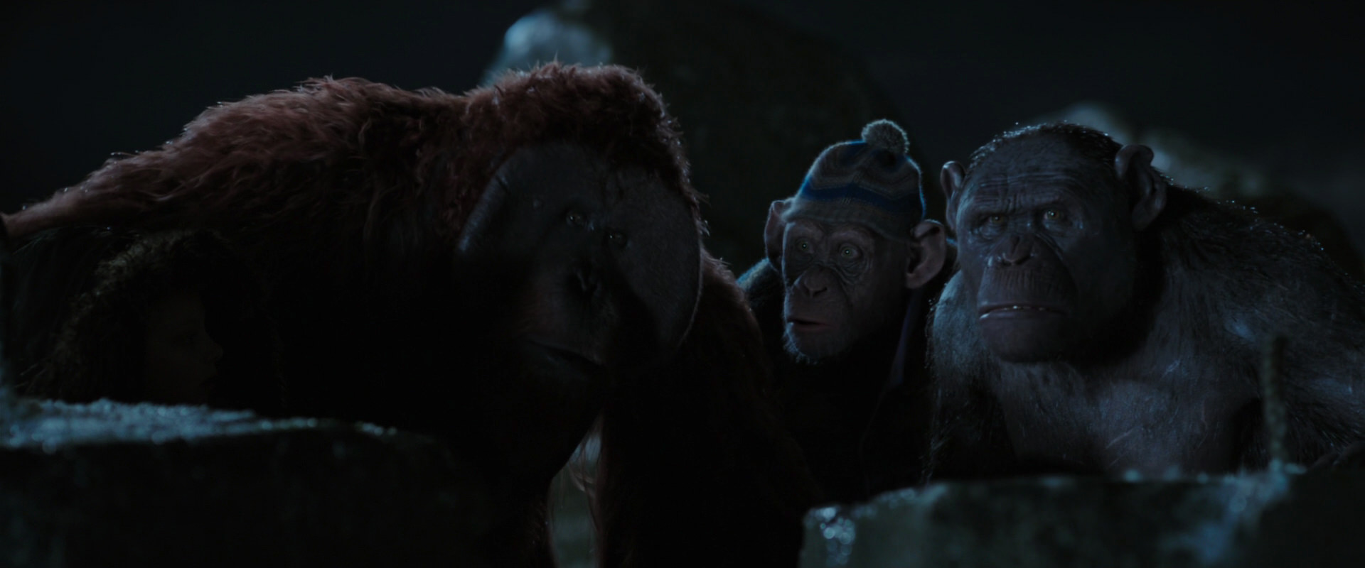 War for the Planet of the Apes (2017) movie still 10036