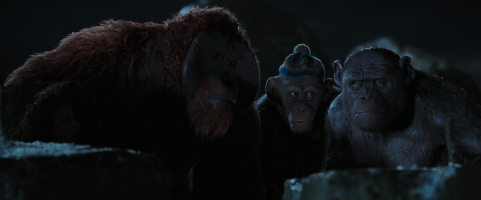 War for the Planet of the Apes (2017) screencap 10038