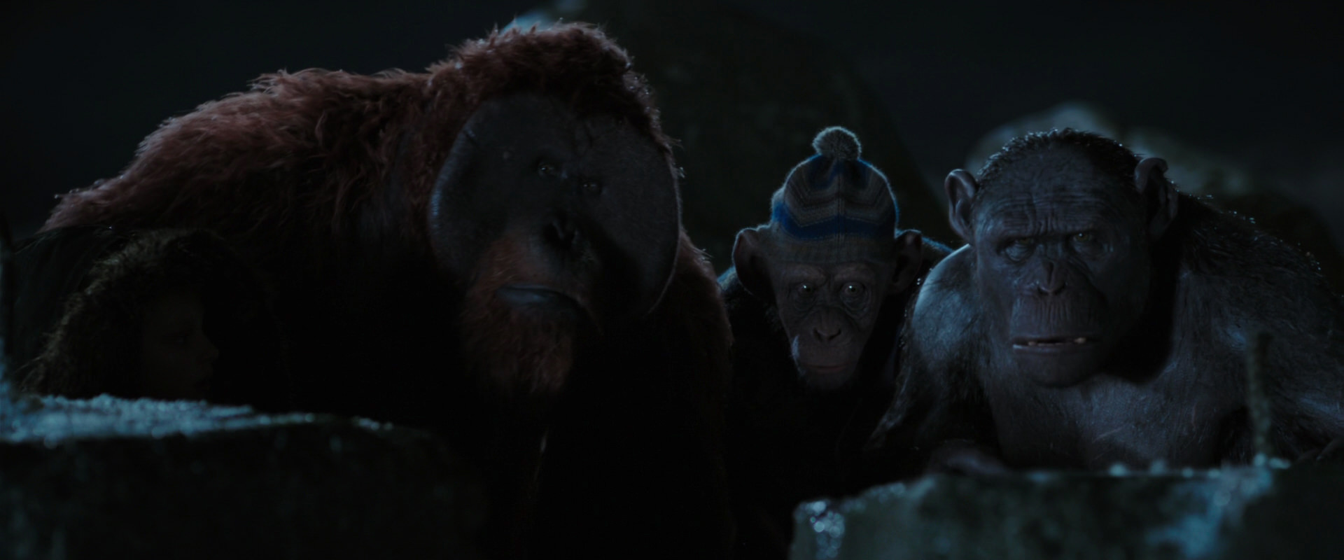 War for the Planet of the Apes (2017) movie still 10039