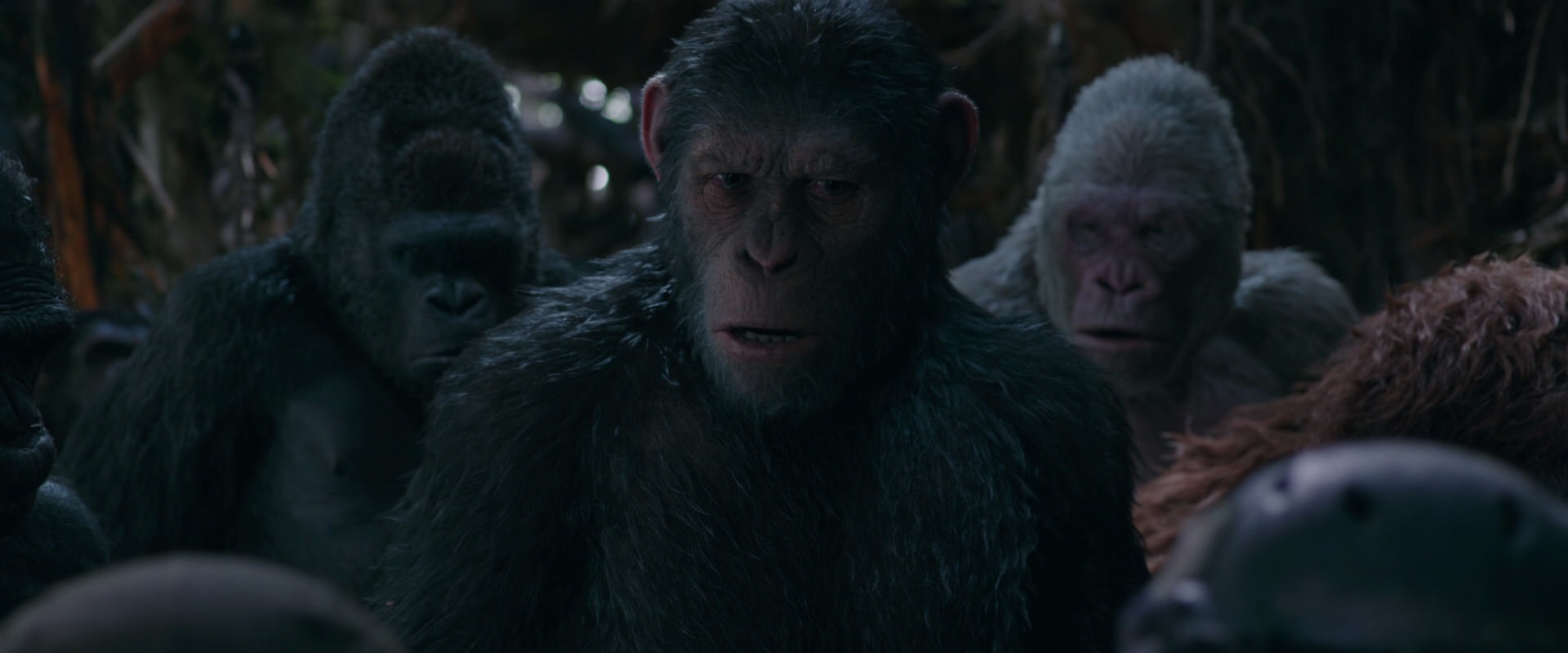 War for the Planet of the Apes (2017) HD screenshot 1004