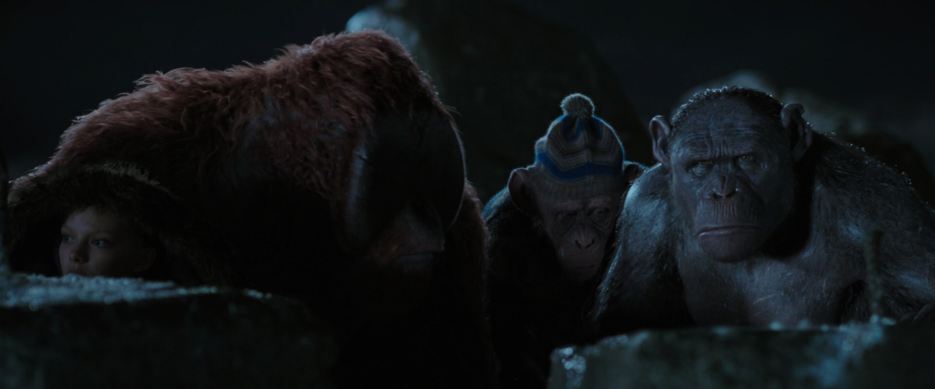 War for the Planet of the Apes (2017) movie still 10042