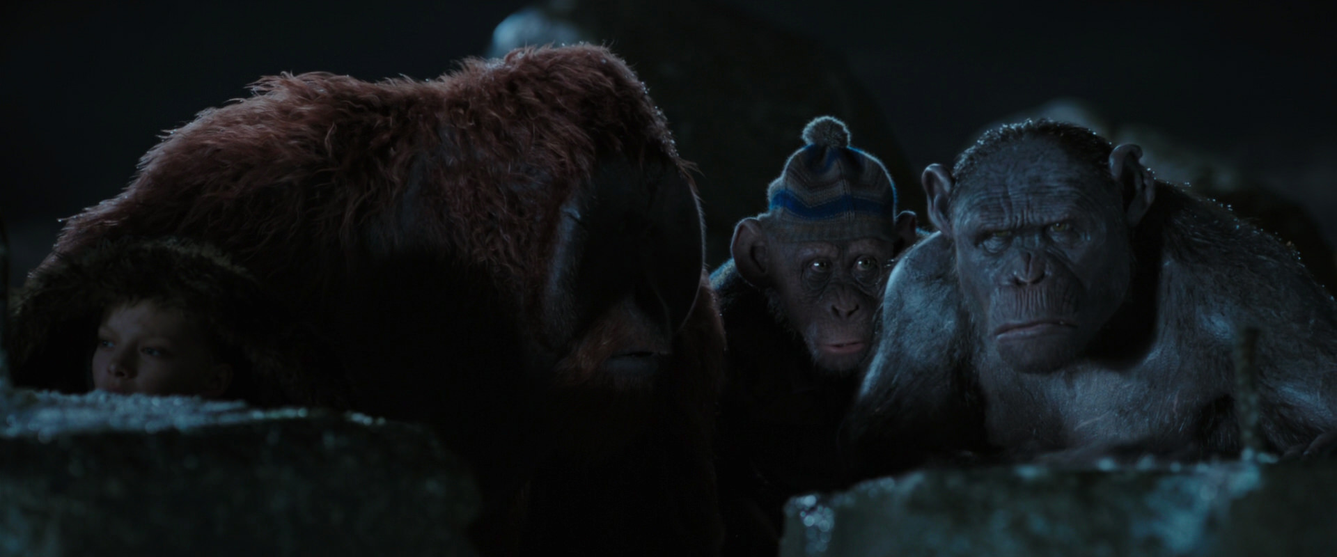 War for the Planet of the Apes (2017) screencap 10044