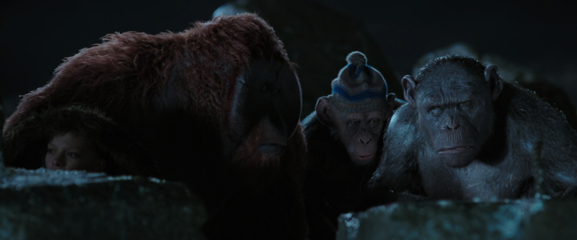 War for the Planet of the Apes (2017) movie still 10045
