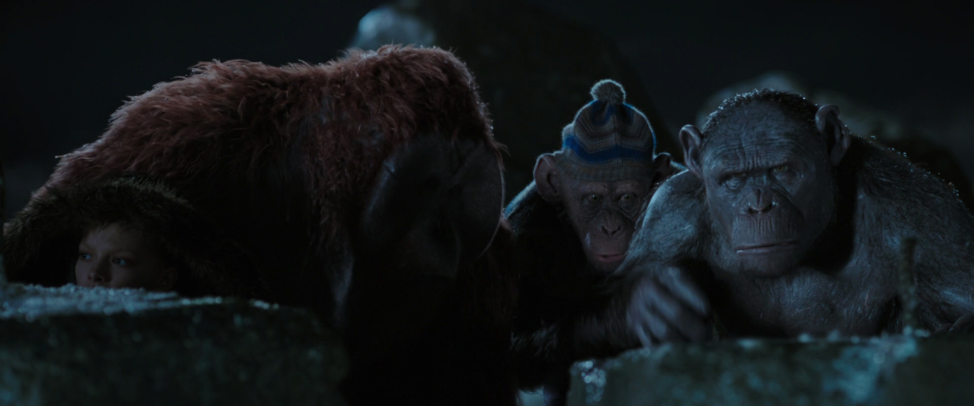 War for the Planet of the Apes (2017) HD screenshot 10046