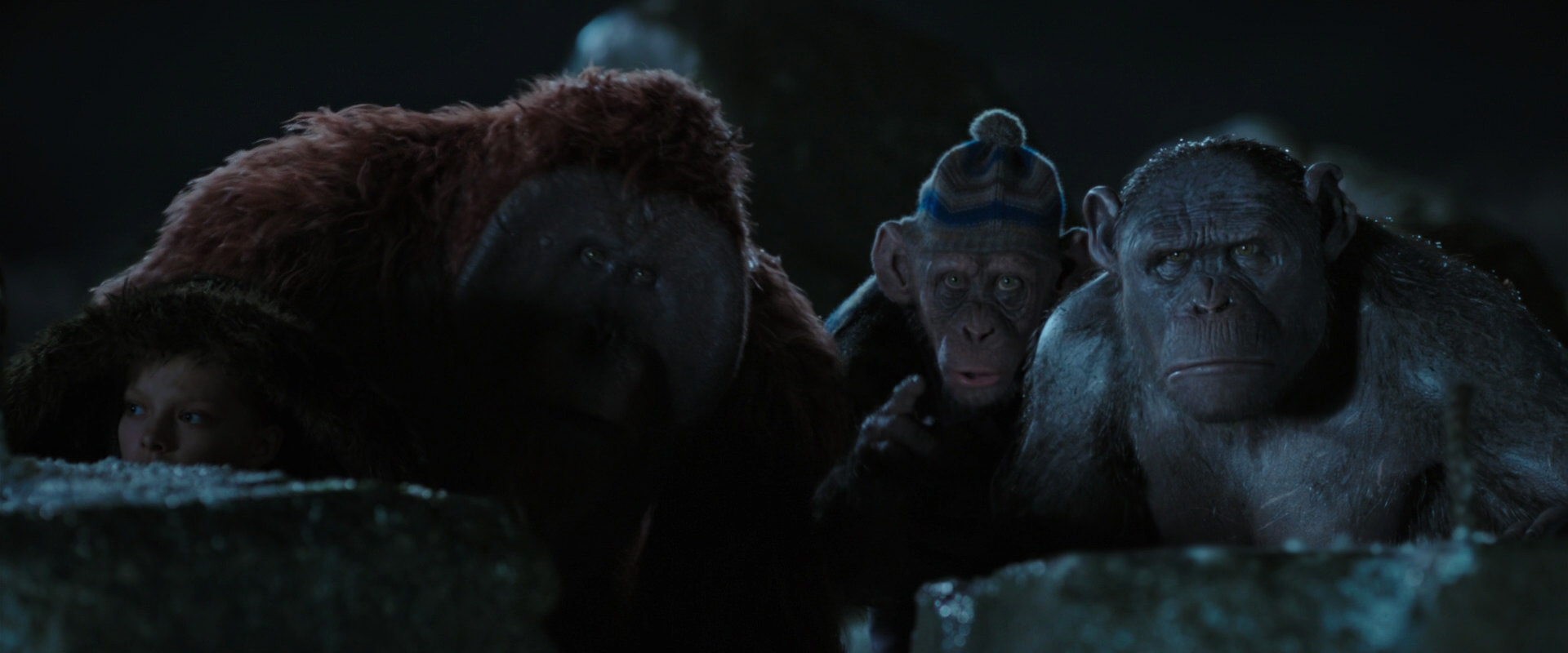 War for the Planet of the Apes (2017) screencap 10047