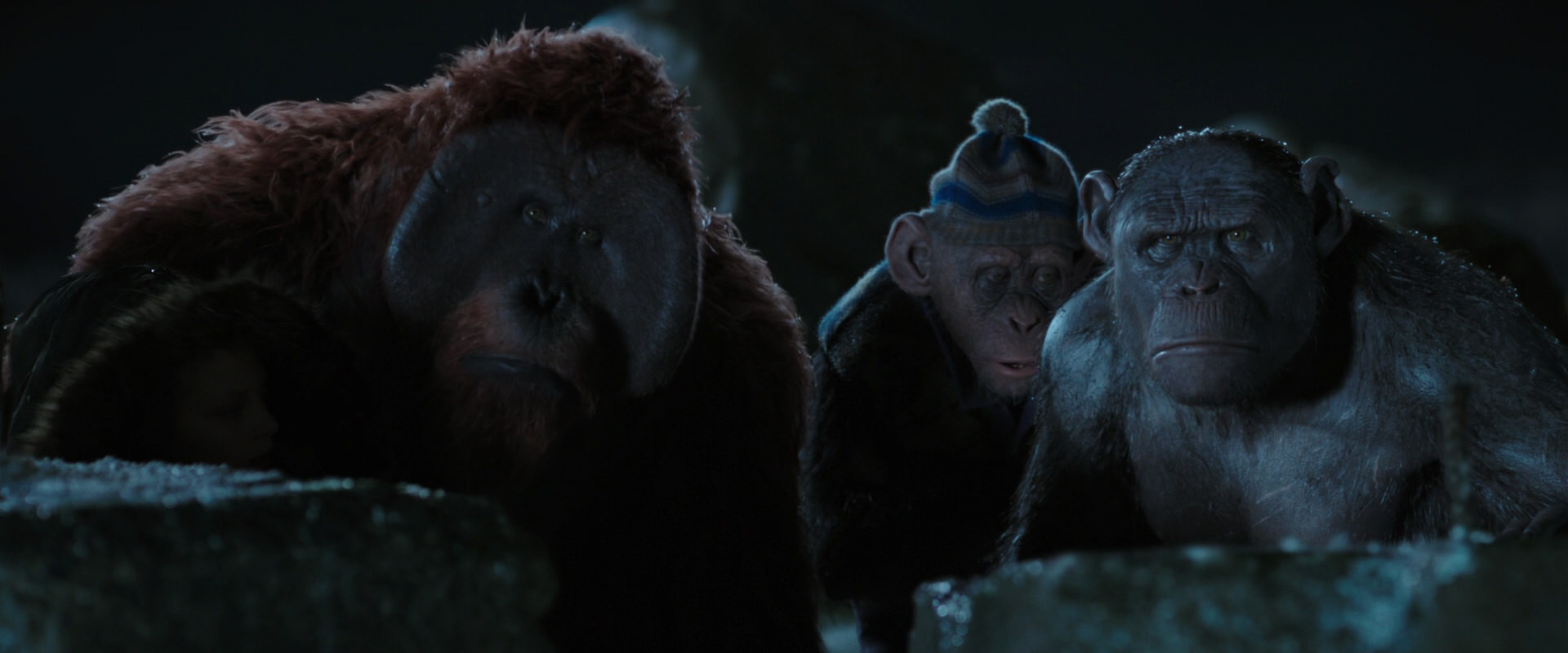 War for the Planet of the Apes (2017) movie still 10048