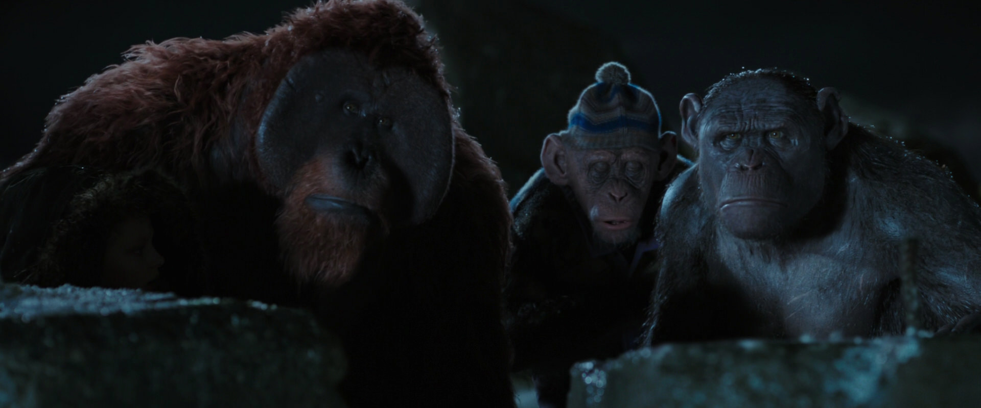 War for the Planet of the Apes (2017) HD screenshot 10049