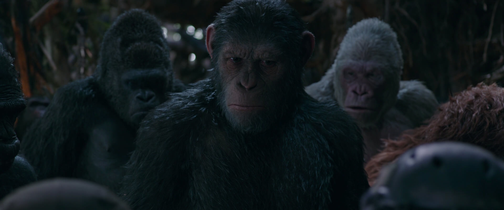War for the Planet of the Apes (2017) screencap 1005
