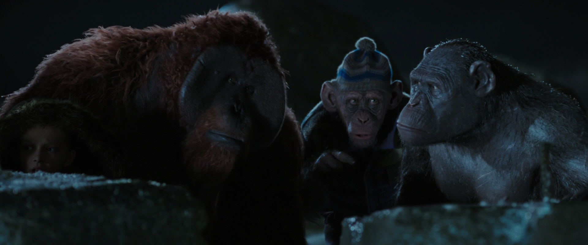 War for the Planet of the Apes (2017) screencap 10050