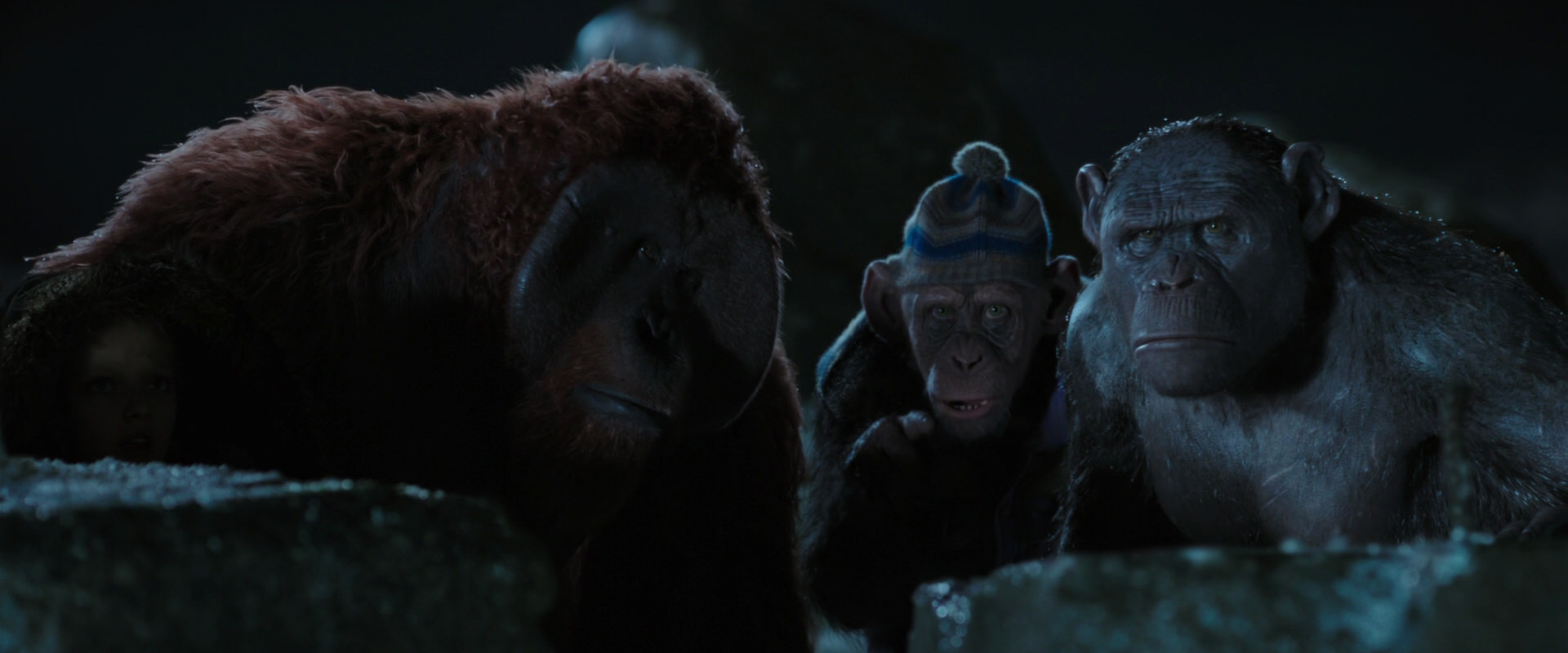 War for the Planet of the Apes (2017) movie still 10051