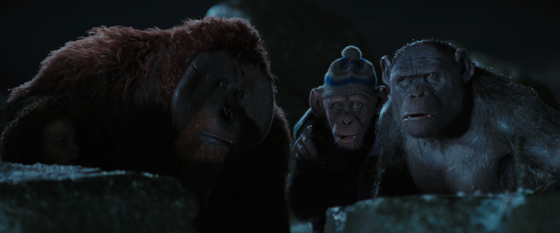War for the Planet of the Apes (2017) HD screenshot 10052